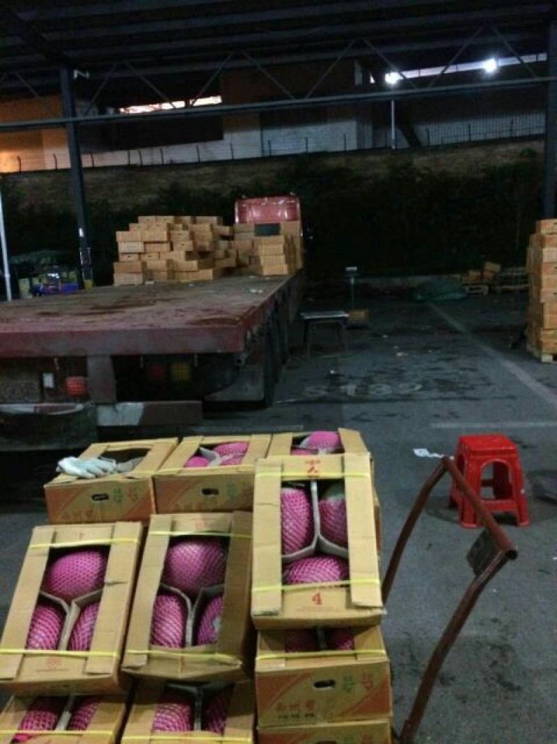 西州蜜瓜3斤以上椭圆形