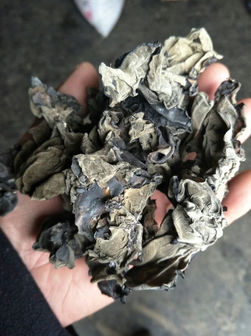 黑木耳一级