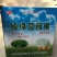 绿豆粉皮包装手工粉皮