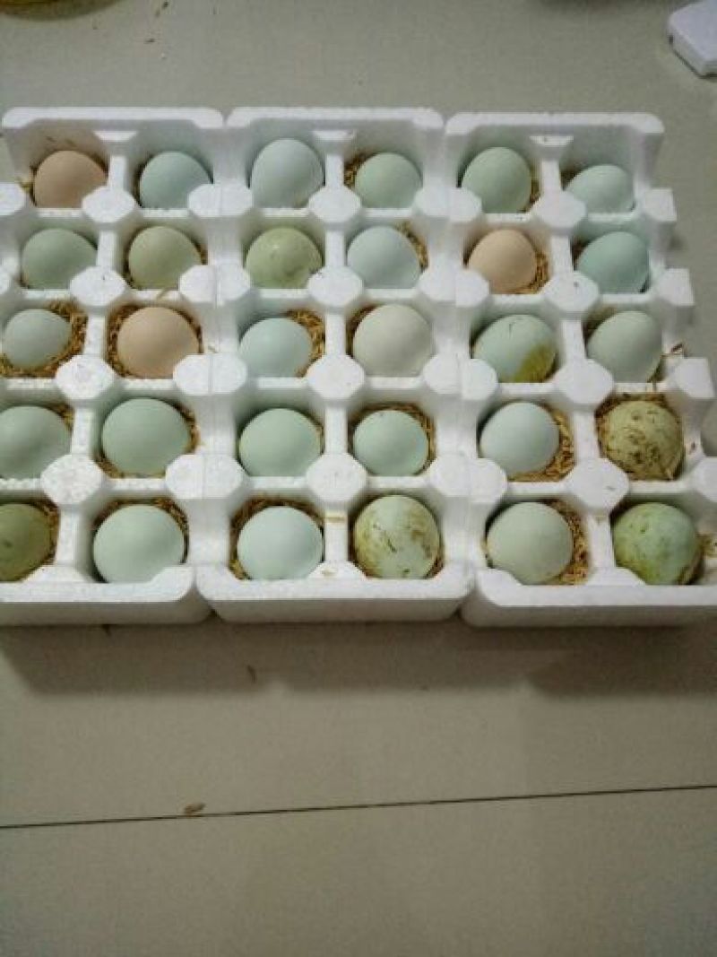 绿壳鸡蛋食用50~60g