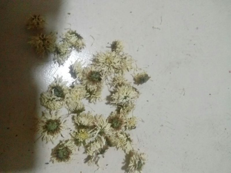 杭白菊散装