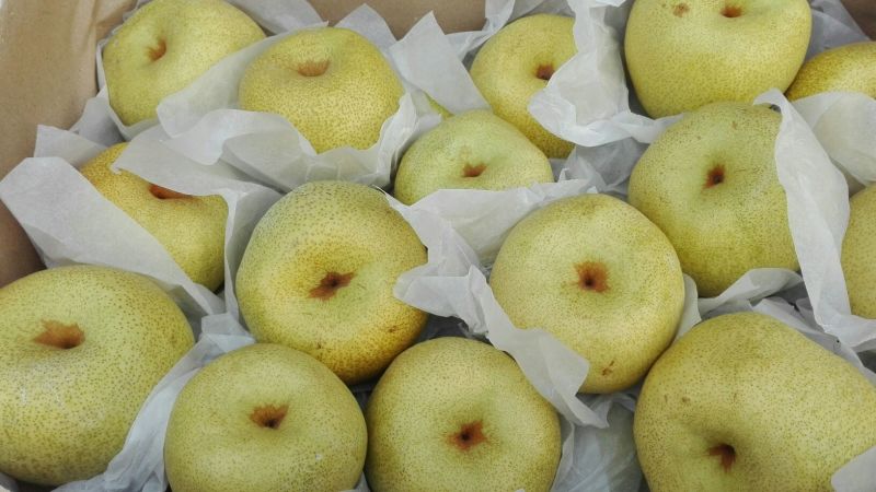 酥梨100~150g光果