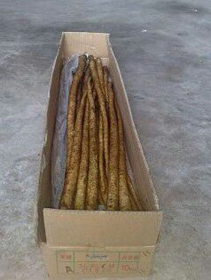牛蒡牛蒡丝，牛蒡茶