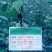 甘肃天水花牛苹果树苗天水发货