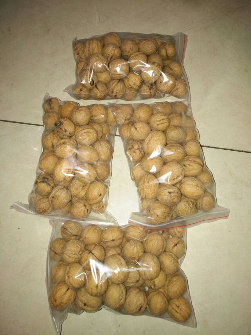 薄皮核桃25mm以下去皮干