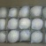 酥梨200~250g纸袋