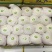 白梨500~550g纸加膜
