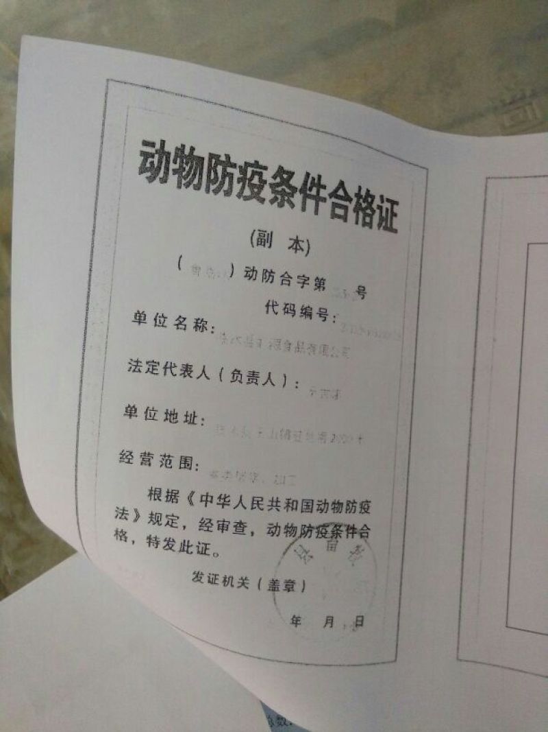 冻鸭脚