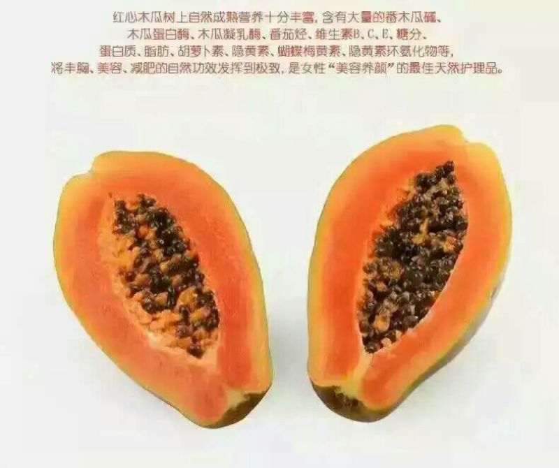 水果木瓜1.5~2斤