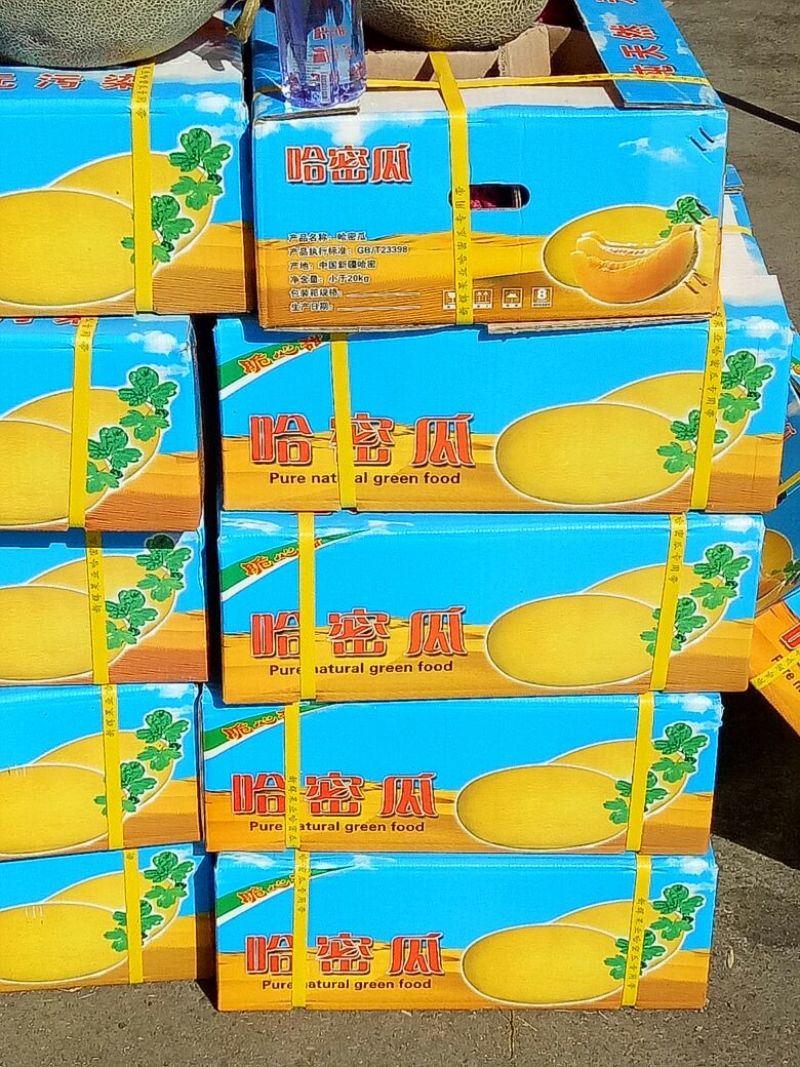 哈密瓜3斤以上椭圆形