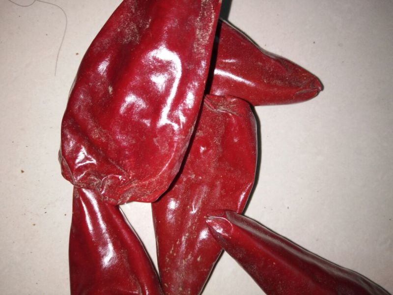 铁板椒干辣椒9成干以上好花皮