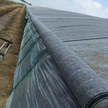 保温被大棚保温被卷帘机