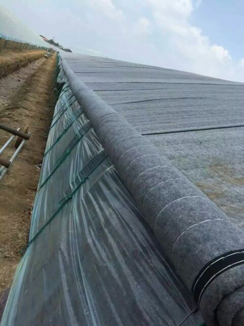 保温被大棚保温被卷帘机