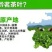 湄潭翠芽