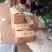 佛手瓜，优质山东货源精品，网套加泡沫箱等