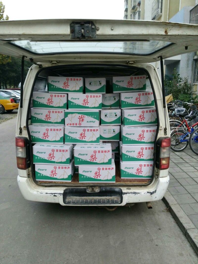 砀山梨300g-400g纸箱