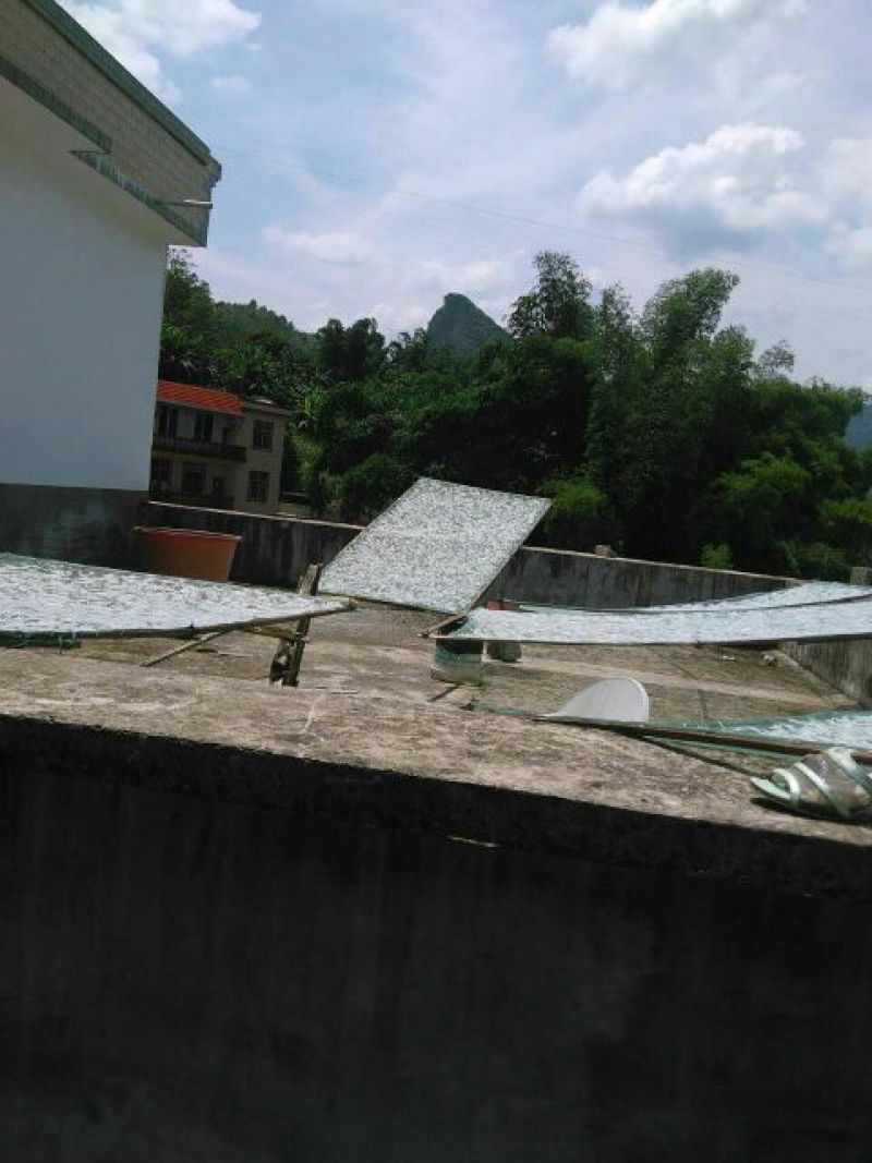 银鱼冰鲜鱼