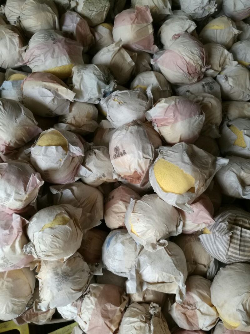 砀山梨250~300g纸袋