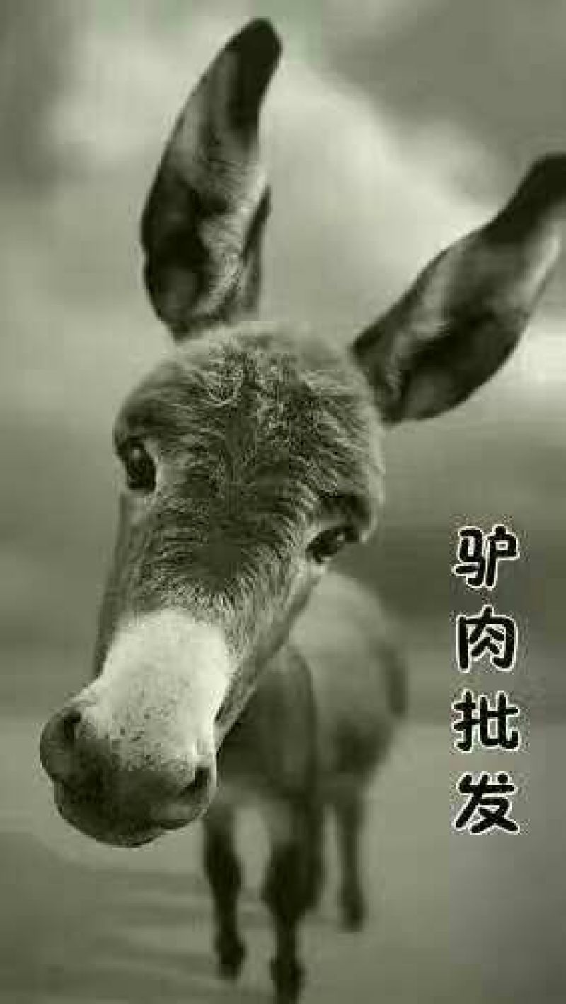 驴肉鲜货