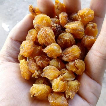 桂圆