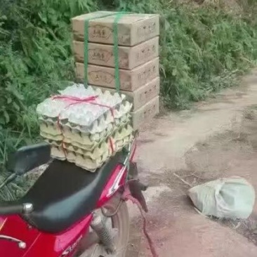 绿壳鸡蛋