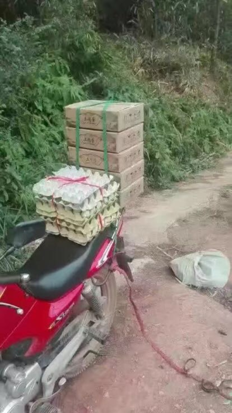 绿壳鸡蛋