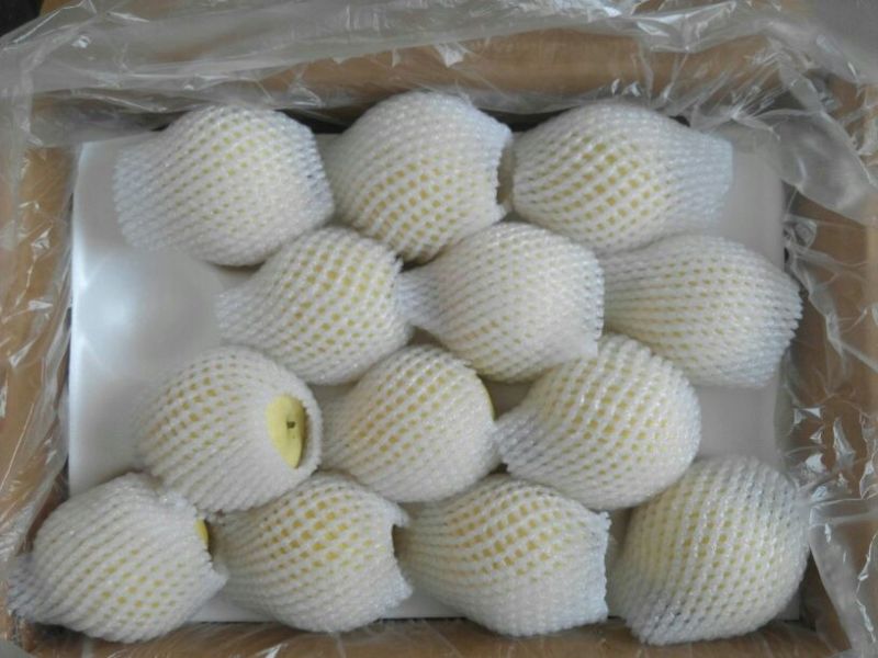 皇冠梨300~350g纸箱