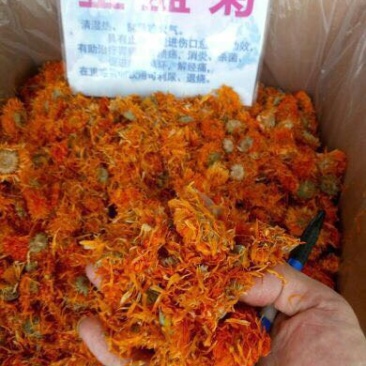 甘菊