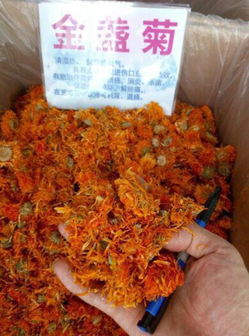 甘菊