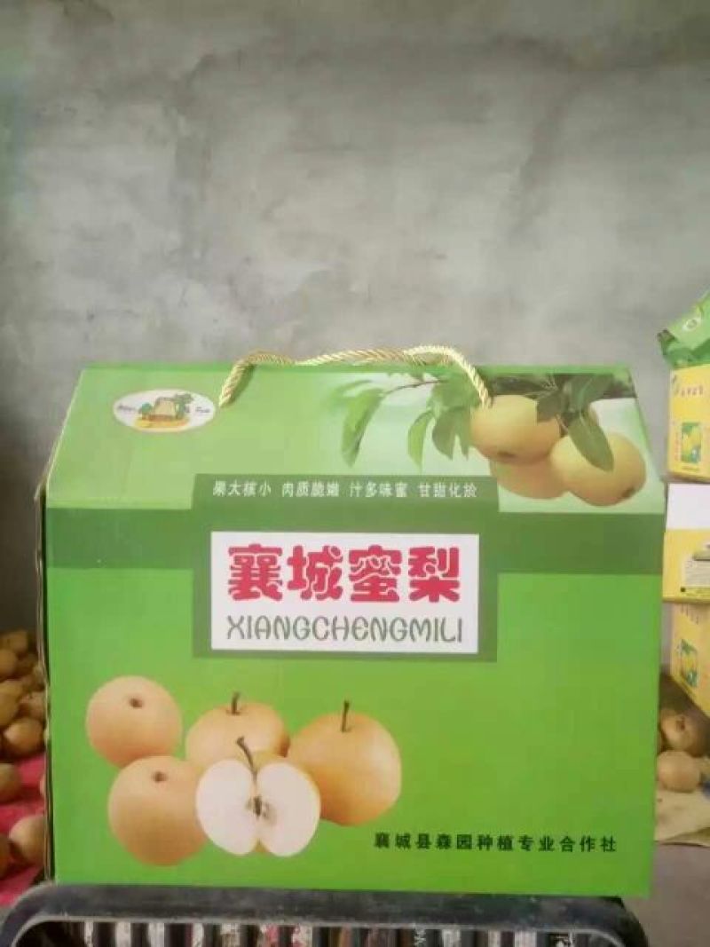 晚秋黄梨450~500g纸加膜
