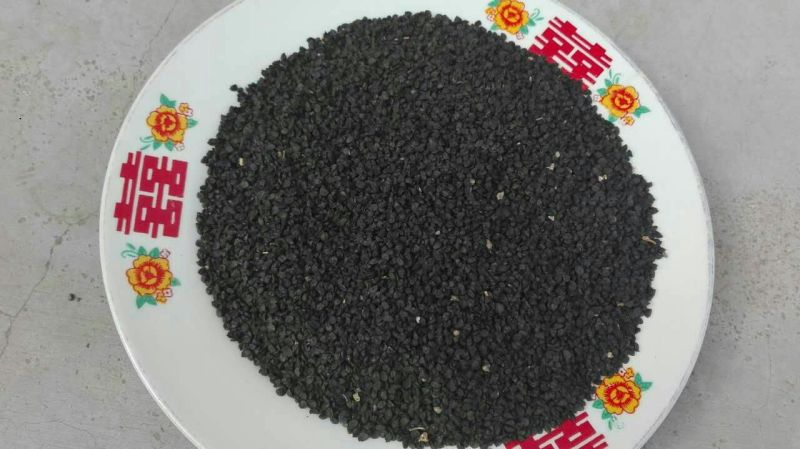 紫皮洋葱种子80%以上