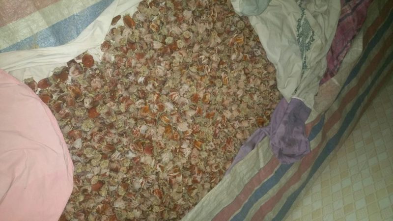 柿饼1两以下