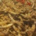 鱼干炸鱼干