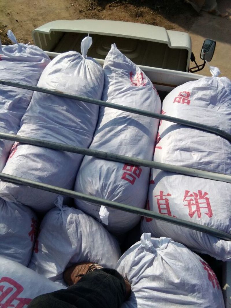 辣椒王5~10厘米特辣红产地直发量大优惠欢迎下单咨询