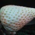 甜宝草莓苗10~20cm