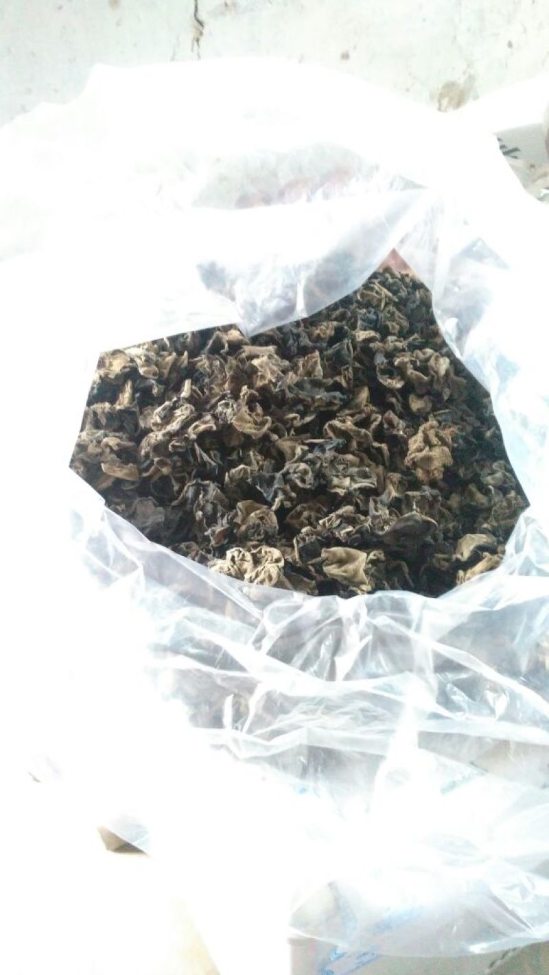 黑木耳一级