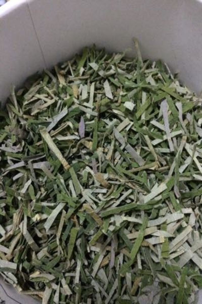 荷叶茶