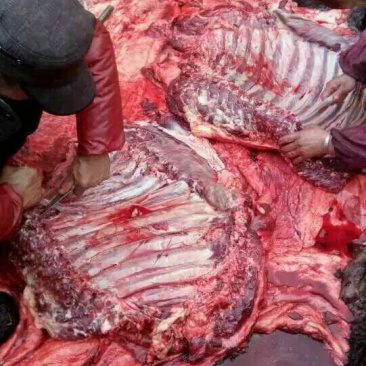 驴肉鲜货