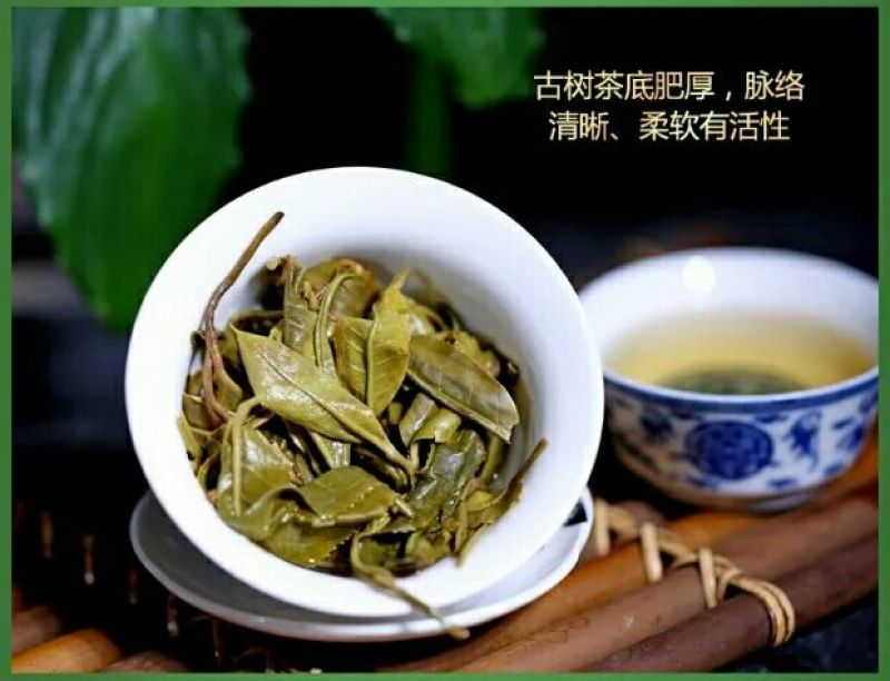 普洱茶