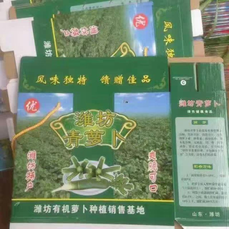 山东萝卜潍县萝卜1~1.5斤起口感脆甜冬吃萝卜夏吃姜