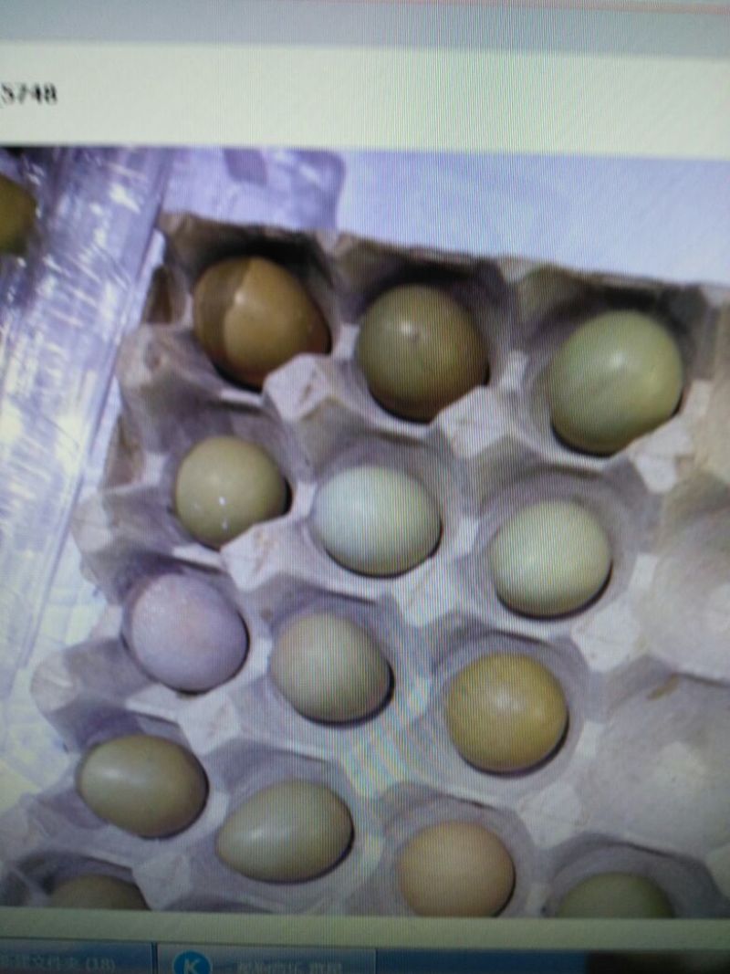 野鸡蛋食用40~50g