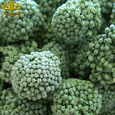 三七花无柄