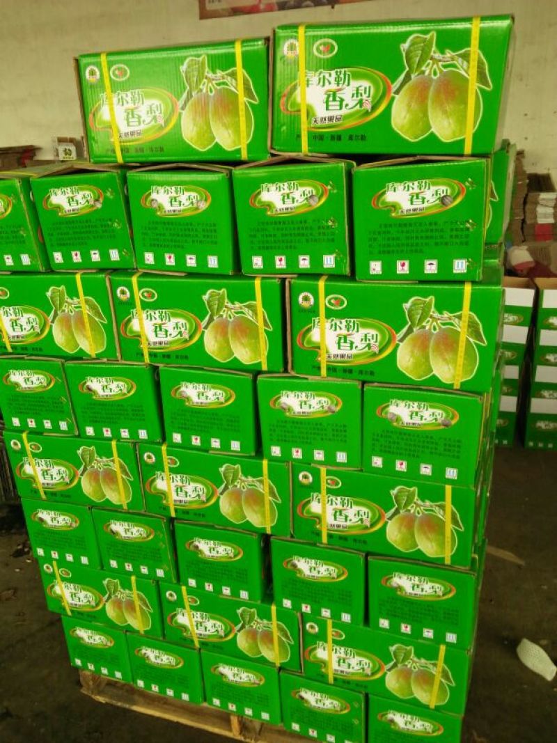 库尔勒香梨100~150g55mm以上母