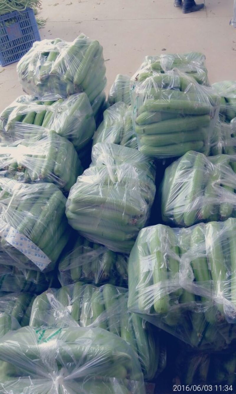 《密刺黄瓜》产地批发/量大从优/全国发货/欢迎来电洽谈合作