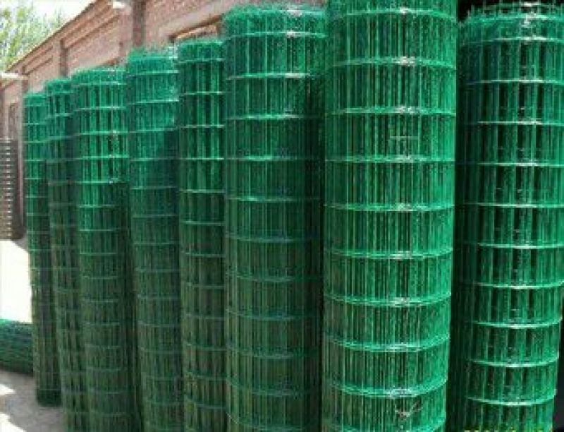 荷兰网50*50mm