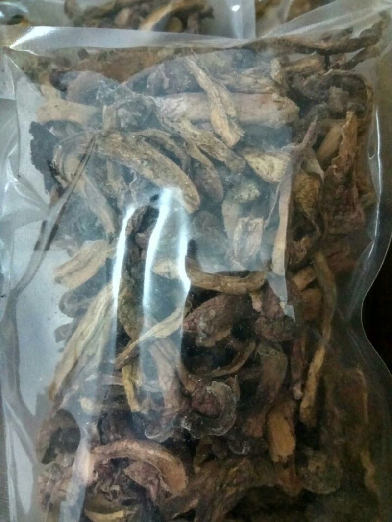 滑子菇干品