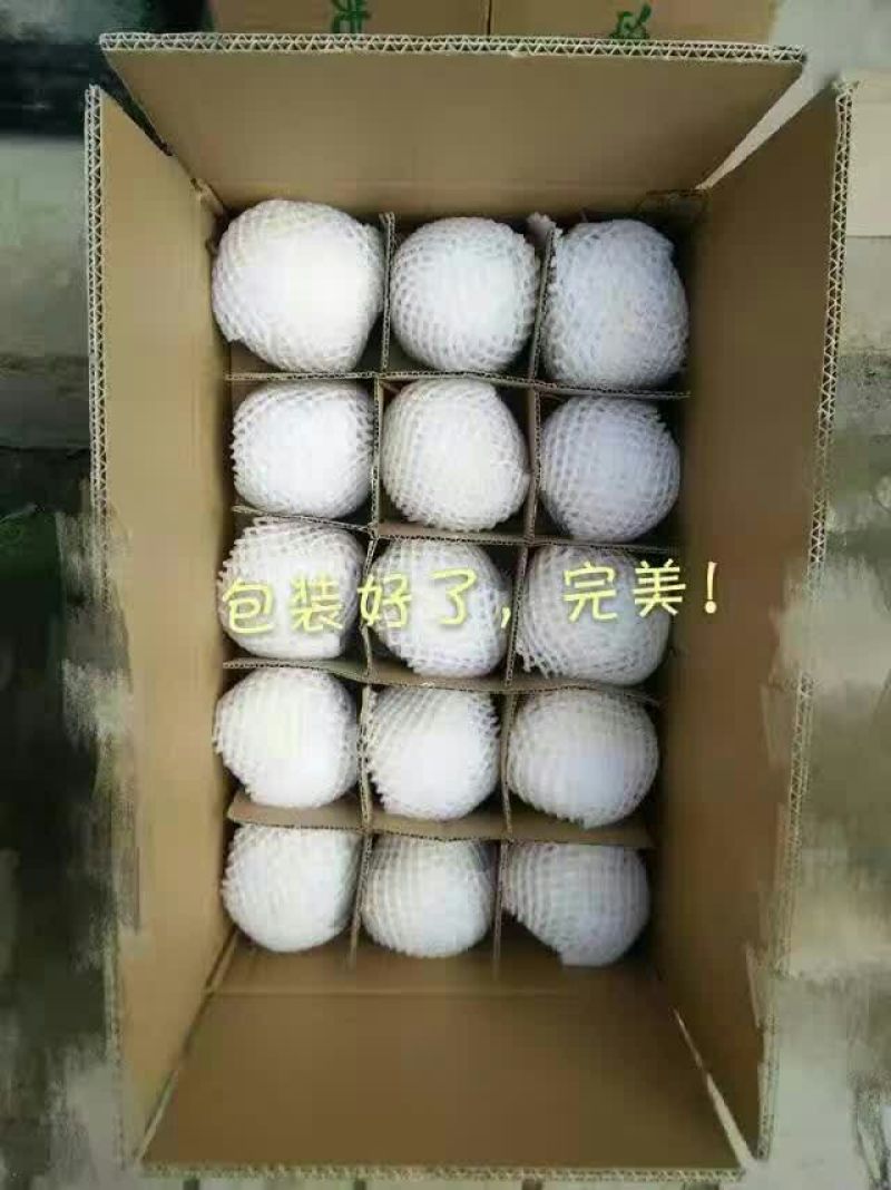 酥梨300~350g纸袋