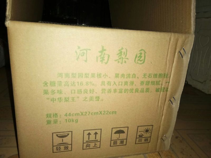 晚秋黄梨60~100g纸箱