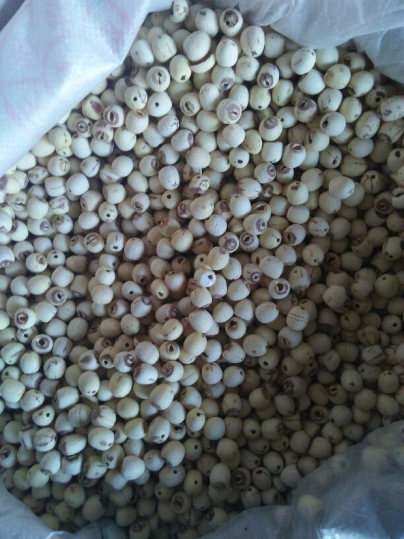 干莲子特级干莲子