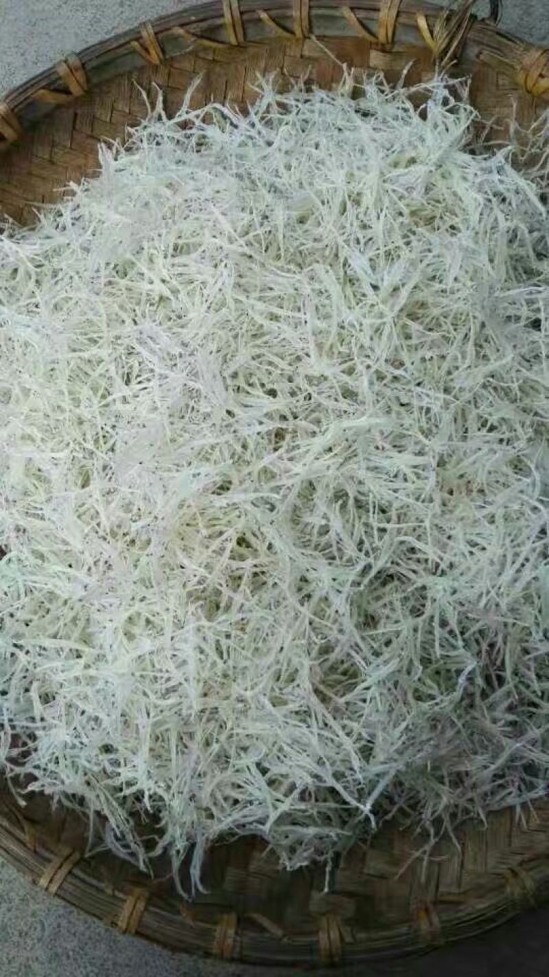 银鱼干